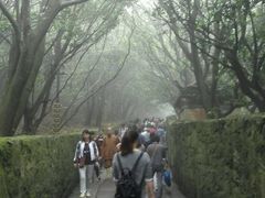 -普陀山风景区-佛顶山