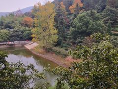 -九龙潭景区