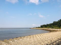 -野狸岛