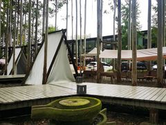 -桉树林A coffee 森林餐厅(三圣乡店)