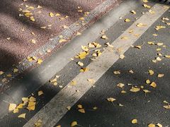 -四川大学(华西校区)