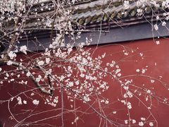 -钱王祠