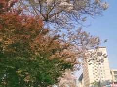 -平乐园(地铁站)