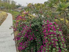 -怡海公园(桂城街道)