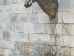 -黑龙江省森林植物园