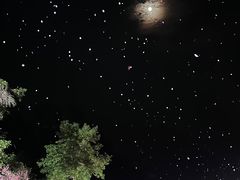 -常德桃花源景区