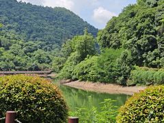 -桃花岭景区