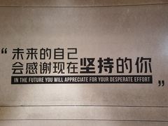 -威尔仕健身(虹桥南丰城店)