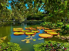 -国家植物园南园