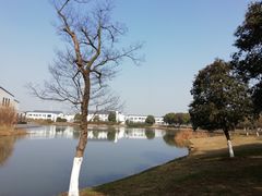 -中华赏石园