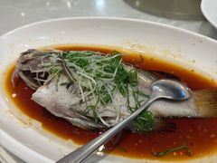 -大东海海鲜酒楼(渔人码头总店)