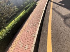 -山西体育中心红灯笼体育场