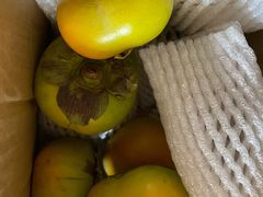 -大连熟食品交易中心