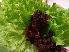 -韩宫宴烤肉·黑毛和牛·料理(合肥滨湖银泰城店)