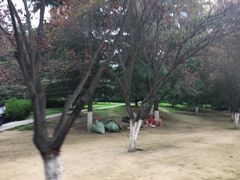 -陕西自然博物馆