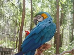 -北京野生动物园