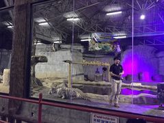 -清迈夜间动物园