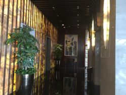 -中茵皇冠假日酒店·宴会厅