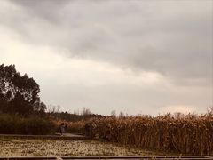 -白鹭湾湿地公园