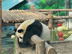 -大连森林动物园