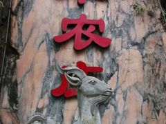 -石羊农庄