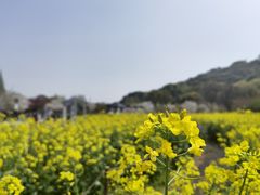 -苏州上方山国家森林公园