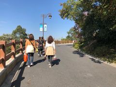 -杭州半山国家森林公园