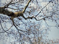 -鼓楼(西湖风景名胜区)