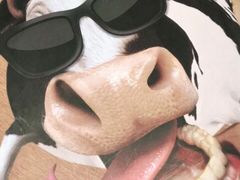 -FAT COW(虹梅路店)