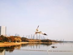 -渤公岛生态公园