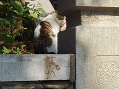 -四门塔风景区
