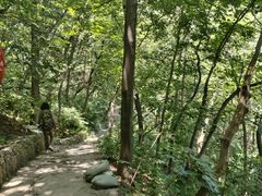 -北京上方山国家森林公园