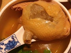 -金燕岛潮州酒楼