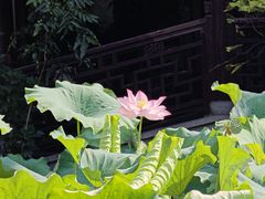 -衣裳街历史文化街区