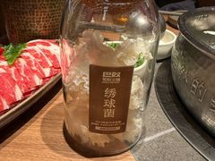 绣球菌-巴奴毛肚火锅(京西大悦城店)
