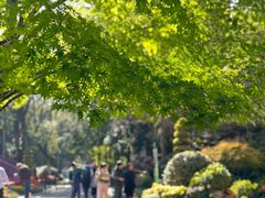 -杭州植物园