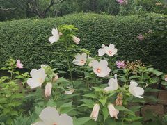 -北坞公园