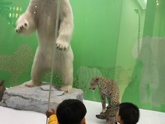 -国家自然博物馆