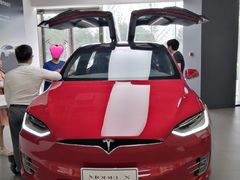 -TESLA 特斯拉(郑州正弘城体验店)