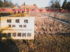 景点-景山公园