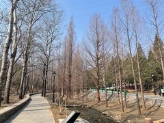 -白水寺森林公园
