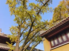-灵谷景区