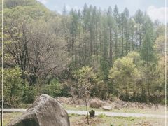 -三块石国家森林公园