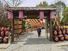 -东台西溪天仙缘景区