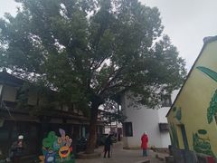 -楠溪江风景名胜区