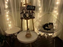 -喵zoo家庭繁育猫舍(尖东智能花园店)