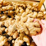 假期快来get敲好吃甜品店！