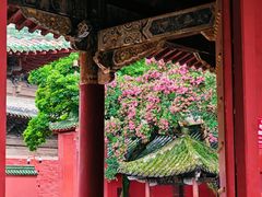 -报恩寺(平武县)