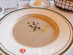 蘑菇汤-Wolfgang’s Steakhouse 沃夫冈牛排馆(上海白玉兰广场店)