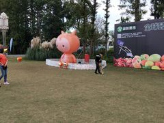 -上海长兴岛郊野公园